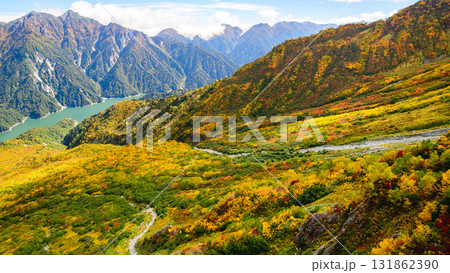 立山黒部アルペンルート 大観峰の紅葉と黒部湖遠望 富山県 立山黒部アルペンルート 大観峰の紅葉と黒部湖遠望 富山県 131862390