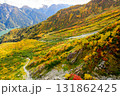 立山黒部アルペンルート　大観峰の紅葉と黒部湖遠望　富山県 131862425