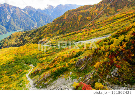 立山黒部アルペンルート　大観峰の紅葉と黒部湖遠望　富山県 131862425