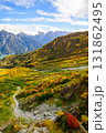 立山黒部アルペンルート　大観峰の紅葉と黒部湖遠望　富山県 131862495