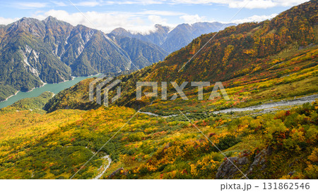 立山黒部アルペンルート 大観峰の紅葉と黒部湖遠望 富山県 立山黒部アルペンルート 大観峰の紅葉と黒部湖遠望 富山県 131862546