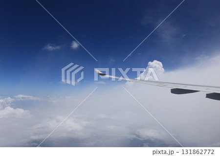 ハエ 飛行 蠅 131862772