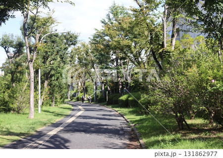 大阪府堺市北区新金岡町団地内のウオーキングロード 131862977