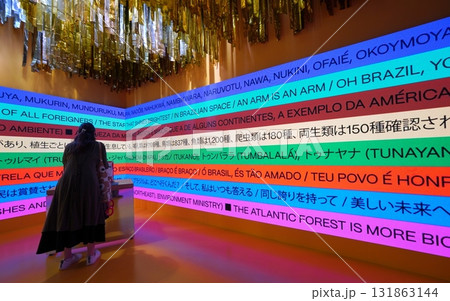 2025 大阪・関西万博 ブラジルパビリオン展示 2025 大阪・関西万博 ブラジルパビリオン展示 131863144
