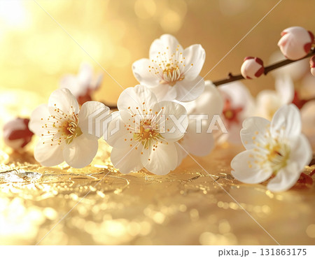 金箔の後ろに咲く梅の花 131863175