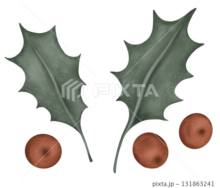 Christmas illustration of holly with its characteristic, glossy green leaves and bright red berries. Set of new year compositions conveys a festive for holiday seasons and winter celebrations. 131863241