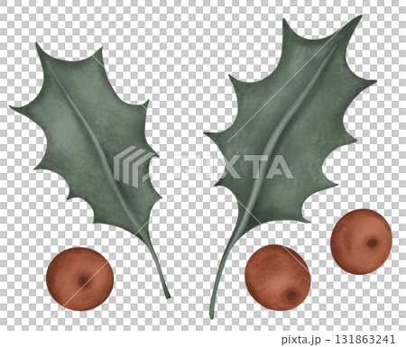 Christmas illustration of holly with its characteristic, glossy green leaves and bright red berries. Set of new year compositions conveys a festive for holiday seasons and winter celebrations. 131863241