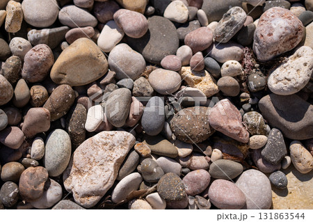 Pebbles, stones, beach. Rounded pebbles and stones covering a beach surface, creating a natural tranquil backdrop Pebbles, stones, beach. Rounded pebbles and stones covering a beach surface, creating a natural tranquil backdrop 131863544
