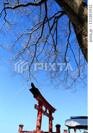 冬の青空と赤い鳥居 冬の青空と赤い鳥居 131863932