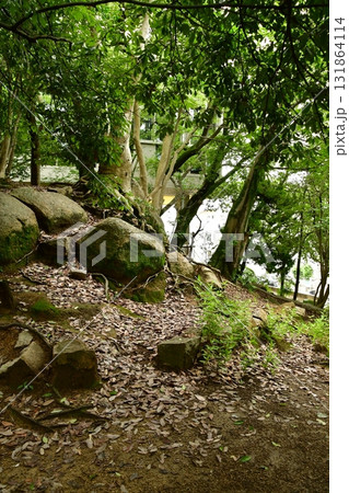 天神山出城17 庭園跡 131864114