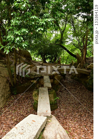 天神山出城28 庭園跡 131864119
