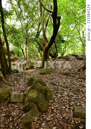 天神山出城23 庭園跡 天神山出城23 庭園跡 131864124