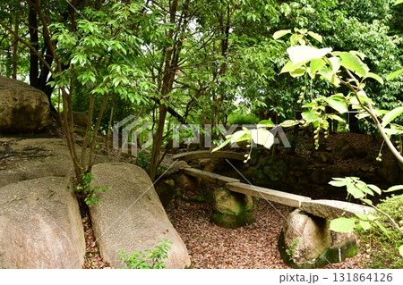 天神山出城21 庭園跡 天神山出城21 庭園跡 131864126