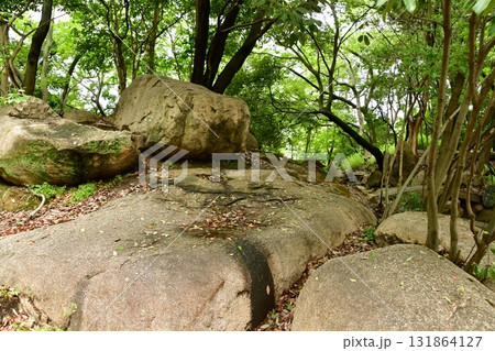 天神山出城20 庭園跡 131864127