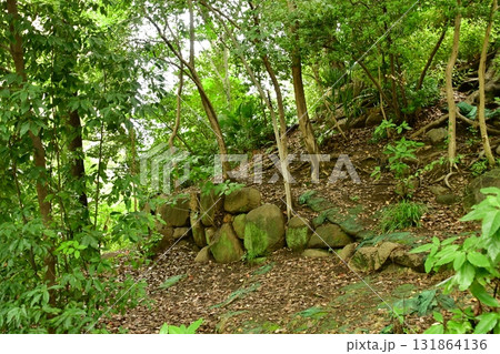 天神山出城14 庭園跡 天神山出城14 庭園跡 131864136