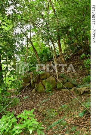 天神山出城13 石垣 131864138