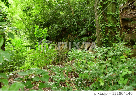 天神山出城12 石垣 131864140