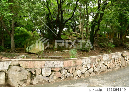 天神山出城08 131864149