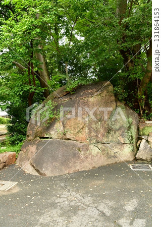 天神山出城06 石垣 天神山出城06 石垣 131864153