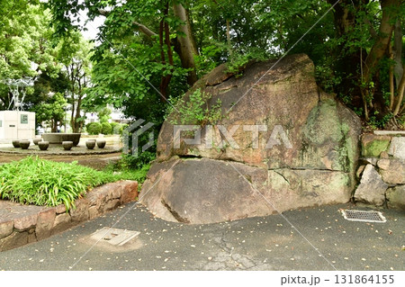 天神山出城05 石垣 131864155