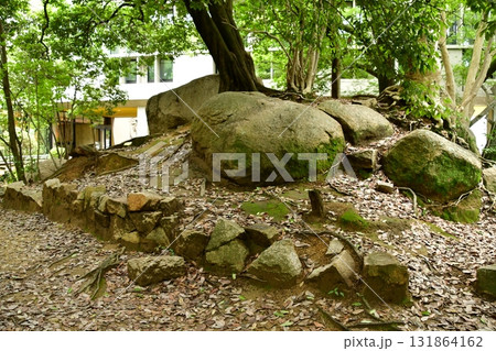 天神山出城02 庭園跡 131864162
