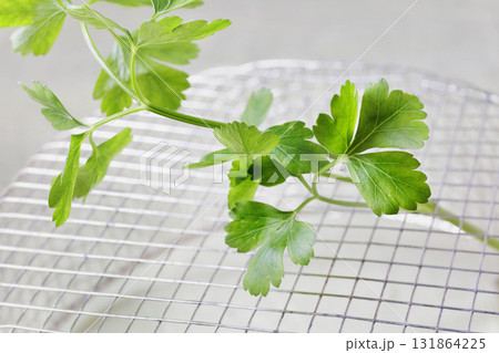 Fresh parsley herb 131864225