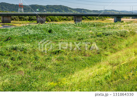 木津川風景　新木津川橋　京都府京田辺市　城陽市 131864330