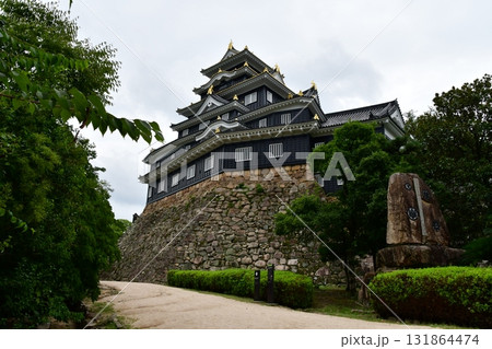 岡山城01 天守 131864474