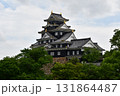 岡山城08 天守 131864487