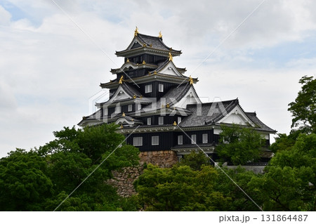 岡山城08 天守 岡山城08 天守 131864487