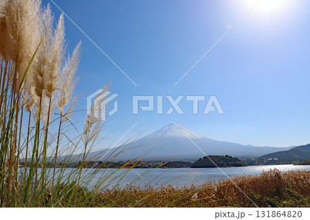 枯れ草とパンパスグラス越しに見る河口湖と冠雪の富士山 枯れ草とパンパスグラス越しに見る河口湖と冠雪の富士山 131864820