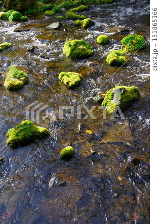 北海道京極町 ふきだし公園の湧水 北海道京極町 ふきだし公園の湧水 131865166