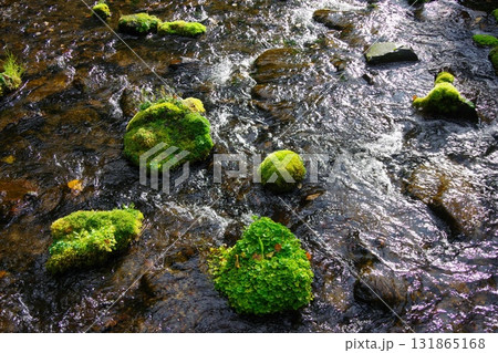 北海道京極町 ふきだし公園の湧水 北海道京極町 ふきだし公園の湧水 131865168