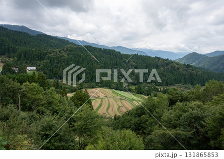 日本の鳥取県若桜町で見た美しい棚田 131865853