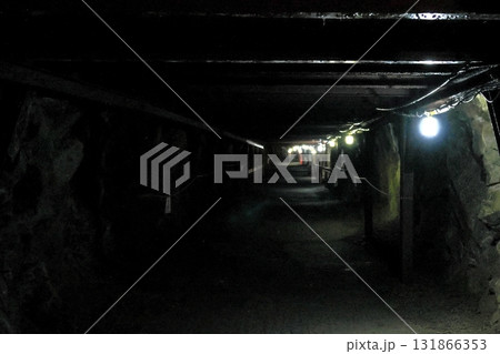 松代大本営跡 131866353