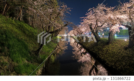 the reflection of river and pond around the Hirosaki park, the  sakura tree during Hirosaki Cherry Blossom Festival at night 131866722