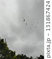 曇り空に蜘蛛 131867424