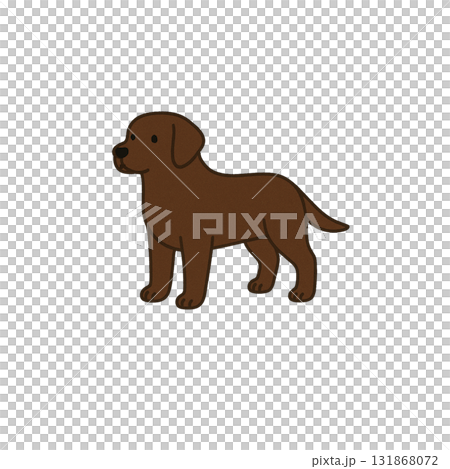 ラブラドールのカラーアイコン、犬、動物、イラスト、素材、背景なし、資料作り 131868072