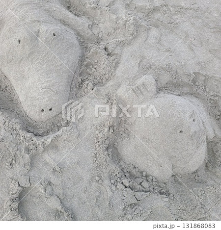 素人が作ったサンドアート 131868083