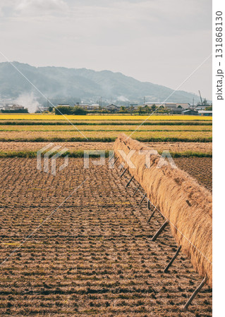 野焼きの煙と稲架掛け【北安曇郡池田町】 131868130