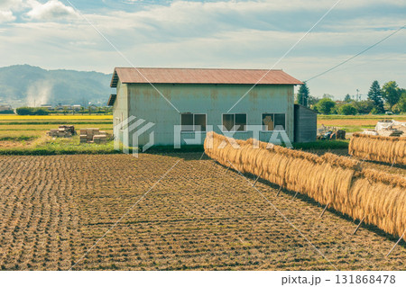秋の安曇野【北安曇郡池田町】 131868478