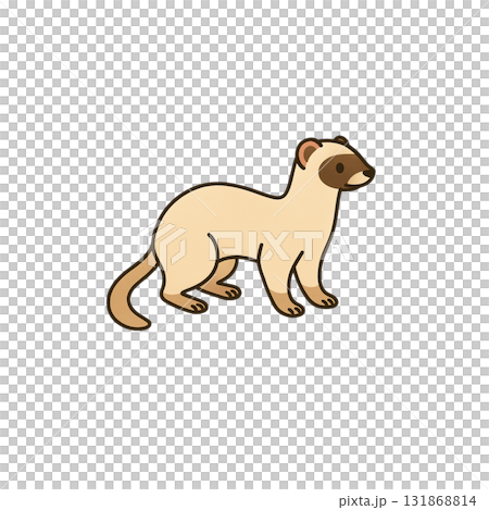 Ferret color icon, animal, illustration, material, no background, document creation 131868814