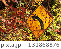 錆びついた道路標識 131868876