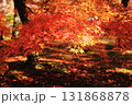 紅葉と落ち葉がある庭園 131868878