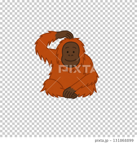 Orangutan color icon, animal, illustration, material, no background, document creation Orangutan color icon, animal, illustration, material, no background, document creation 131868899
