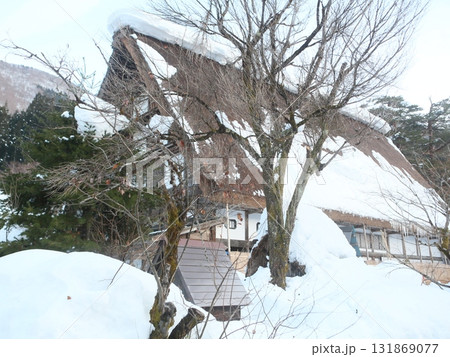 白川郷 白川村 合掌村 131869077