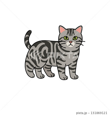 アメショのカラーアイコン、猫、動物、イラスト、素材、背景なし、資料作り 131869121