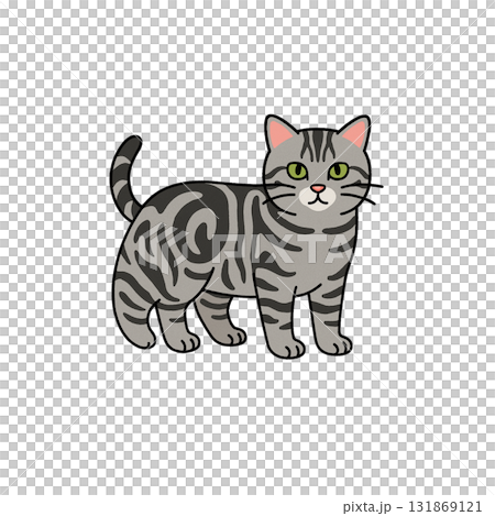 アメショのカラーアイコン、猫、動物、イラスト、素材、背景なし、資料作り 131869121