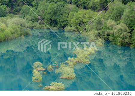 水没林 水没林 131869236