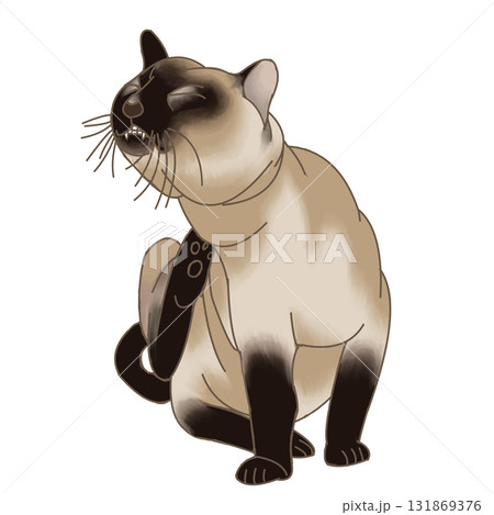 猫 足かきポーズ 猫 足かきポーズ 131869376